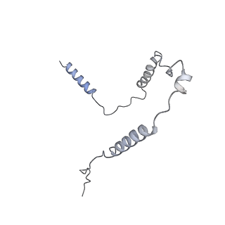 25652_7t3a_M_v1-1
GATOR1-RAG-RAGULATOR - Inhibitory Complex