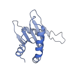 25652_7t3a_N_v1-1
GATOR1-RAG-RAGULATOR - Inhibitory Complex