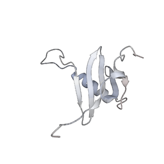 25652_7t3a_P_v1-1
GATOR1-RAG-RAGULATOR - Inhibitory Complex