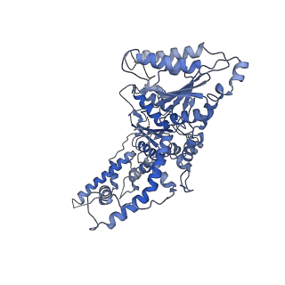 25659_7t3i_A_v1-1
CryoEM structure of the Rix7 D2 Walker B mutant