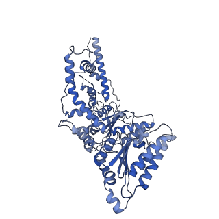 25659_7t3i_C_v1-1
CryoEM structure of the Rix7 D2 Walker B mutant