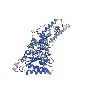 25659_7t3i_D_v1-1
CryoEM structure of the Rix7 D2 Walker B mutant