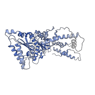 25659_7t3i_E_v1-1
CryoEM structure of the Rix7 D2 Walker B mutant