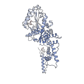 25659_7t3i_F_v1-1
CryoEM structure of the Rix7 D2 Walker B mutant