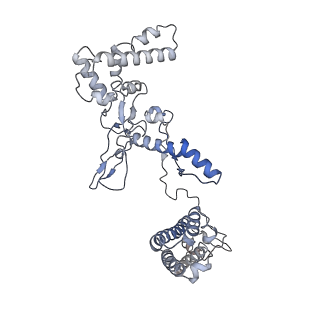 25660_7t3j_A_v1-2
Cryo-EM structure of Csy-AcrIF24