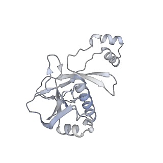 25660_7t3j_C_v1-2
Cryo-EM structure of Csy-AcrIF24