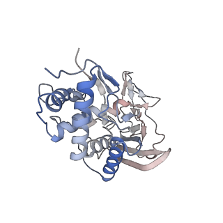 25660_7t3j_D_v1-2
Cryo-EM structure of Csy-AcrIF24