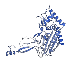 25660_7t3j_F_v1-2
Cryo-EM structure of Csy-AcrIF24