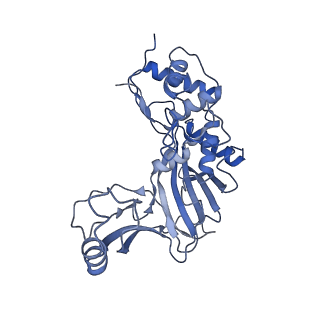 25660_7t3j_G_v1-2
Cryo-EM structure of Csy-AcrIF24