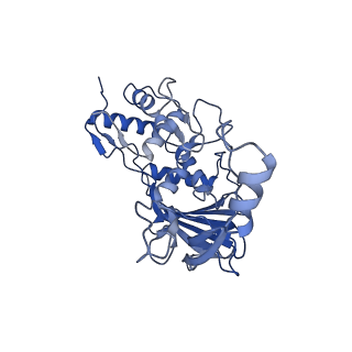 25660_7t3j_H_v1-2
Cryo-EM structure of Csy-AcrIF24