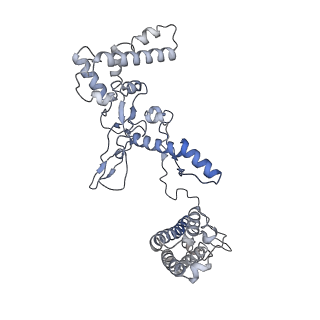 25661_7t3k_A_v1-2
Cryo-EM structure of Csy-AcrIF24 dimer