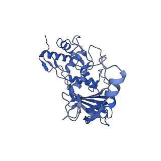 25661_7t3k_H_v1-2
Cryo-EM structure of Csy-AcrIF24 dimer