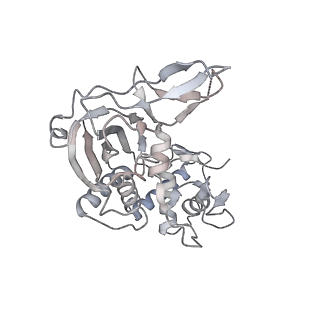 25661_7t3k_d_v1-2
Cryo-EM structure of Csy-AcrIF24 dimer