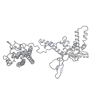 25662_7t3l_A_v1-2
Cryo-EM structure of Csy-AcrIF24-DNA dimer