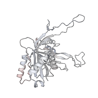 25662_7t3l_B_v1-2
Cryo-EM structure of Csy-AcrIF24-DNA dimer