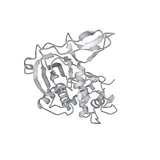 25662_7t3l_D_v1-2
Cryo-EM structure of Csy-AcrIF24-DNA dimer