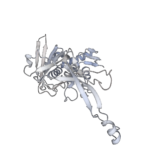 25662_7t3l_E_v1-2
Cryo-EM structure of Csy-AcrIF24-DNA dimer