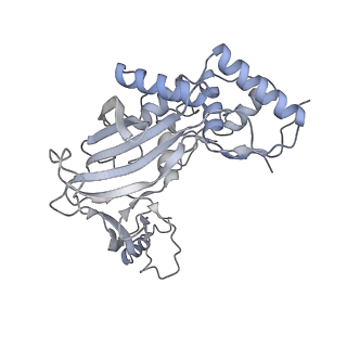 25662_7t3l_G_v1-2
Cryo-EM structure of Csy-AcrIF24-DNA dimer