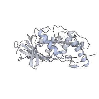 25662_7t3l_H_v1-2
Cryo-EM structure of Csy-AcrIF24-DNA dimer