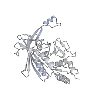 25662_7t3l_I_v1-2
Cryo-EM structure of Csy-AcrIF24-DNA dimer