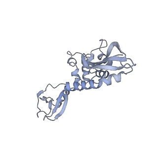 25662_7t3l_J_v1-2
Cryo-EM structure of Csy-AcrIF24-DNA dimer