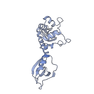 25662_7t3l_K_v1-2
Cryo-EM structure of Csy-AcrIF24-DNA dimer