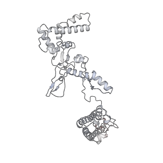 25662_7t3l_a_v1-2
Cryo-EM structure of Csy-AcrIF24-DNA dimer