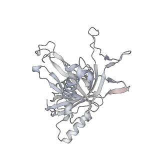 25662_7t3l_b_v1-2
Cryo-EM structure of Csy-AcrIF24-DNA dimer