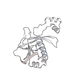 25662_7t3l_c_v1-2
Cryo-EM structure of Csy-AcrIF24-DNA dimer