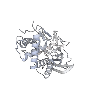 25662_7t3l_d_v1-2
Cryo-EM structure of Csy-AcrIF24-DNA dimer