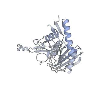 25662_7t3l_e_v1-2
Cryo-EM structure of Csy-AcrIF24-DNA dimer
