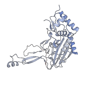 25662_7t3l_f_v1-2
Cryo-EM structure of Csy-AcrIF24-DNA dimer