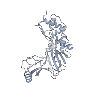 25662_7t3l_g_v1-2
Cryo-EM structure of Csy-AcrIF24-DNA dimer