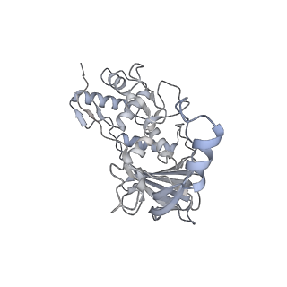 25662_7t3l_h_v1-2
Cryo-EM structure of Csy-AcrIF24-DNA dimer
