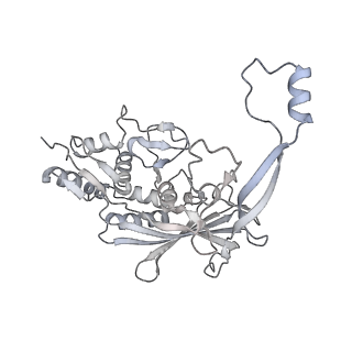 25662_7t3l_i_v1-2
Cryo-EM structure of Csy-AcrIF24-DNA dimer