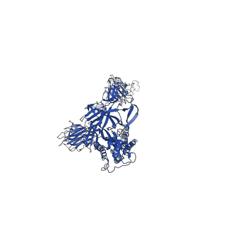 25663_7t3m_G_v1-1
SARS-CoV-2 S (Spike Glycoprotein) D614G with Three (3) RBDs Up, Bound to Antibody 2-7 scFv, composite map