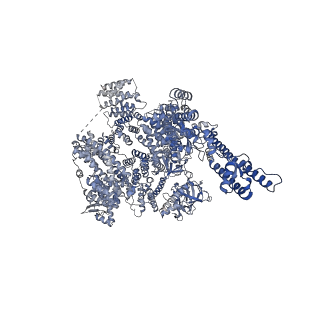25668_7t3q_A_v1-1
IP3 and ATP bound type 3 IP3 receptor in the pre-active B state