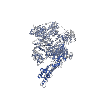 25668_7t3q_D_v1-1
IP3 and ATP bound type 3 IP3 receptor in the pre-active B state