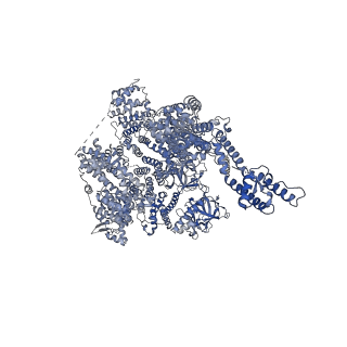 25670_7t3t_A_v1-1
IP3, ATP, and Ca2+ bound type 3 IP3 receptor in the active state