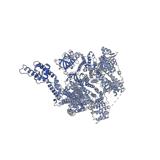 25670_7t3t_C_v1-1
IP3, ATP, and Ca2+ bound type 3 IP3 receptor in the active state