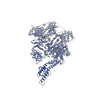 25670_7t3t_D_v1-1
IP3, ATP, and Ca2+ bound type 3 IP3 receptor in the active state