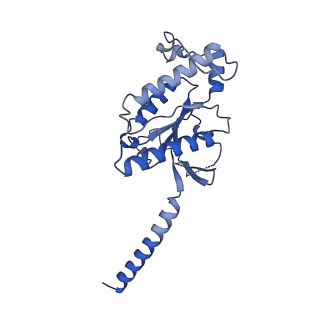 41010_8t3s_A_v1-0
Cryo-EM structure of the Butyrate bound FFA2-Gq complex
