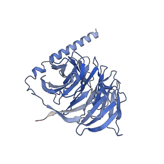 41010_8t3s_B_v1-0
Cryo-EM structure of the Butyrate bound FFA2-Gq complex