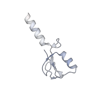 41011_8t3t_K_v1-3
Structure of Bre1-nucleosome complex - state3