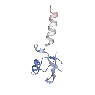 41011_8t3t_L_v1-3
Structure of Bre1-nucleosome complex - state3