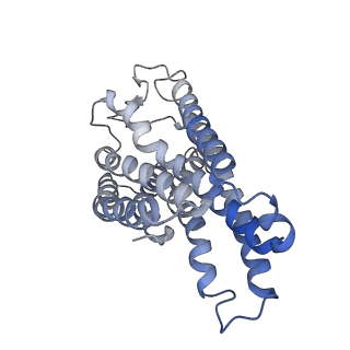 41013_8t3v_R_v1-0
Cryo-EM structure of the DHA bound FFA1-Gq complex