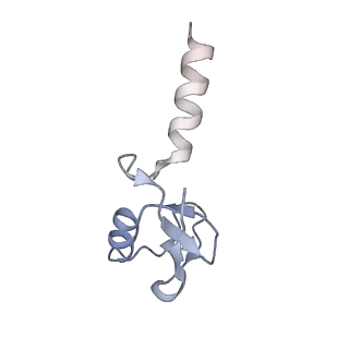 41015_8t3w_K_v1-3
Structure of Bre1-nucleosome complex - state2