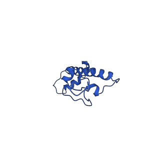 41016_8t3y_G_v1-3
Structure of Bre1-nucleosome complex - state1