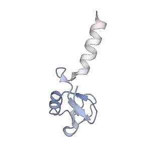 41016_8t3y_K_v1-3
Structure of Bre1-nucleosome complex - state1