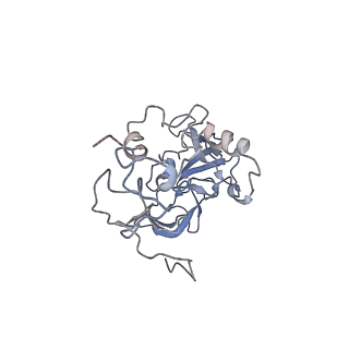 10377_6t4q_LA_v1-2
Structure of yeast 80S ribosome stalled on the CGA-CCG inhibitory codon combination.